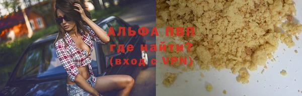 гашик Михайлов