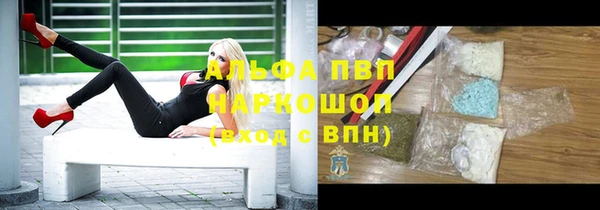 прущий лед Михайловск