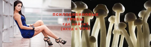 apvp Михайловка