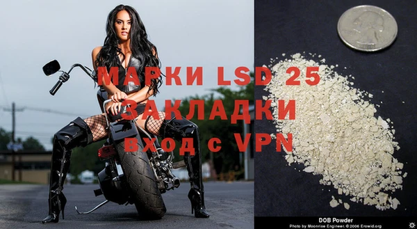 гашик Михайлов