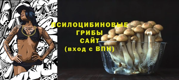 apvp Михайловка