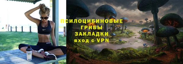 прущий лед Михайловск