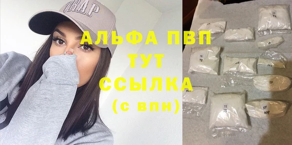 гашик Михайлов