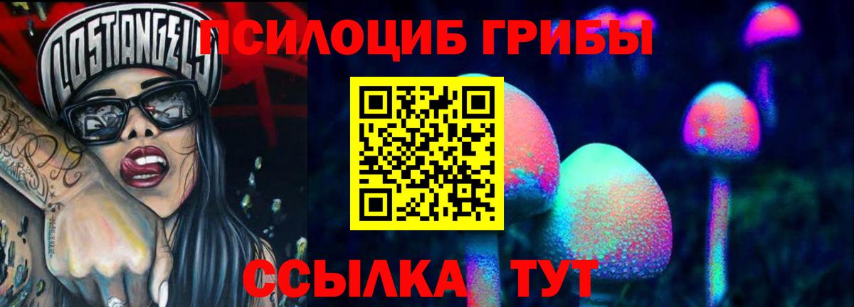 купить наркотики цена  Галлюциногенные грибы Psilocybine cubensis  Галлюциногенные грибы прущие грибы  Вход с VPN  Биробиджан 